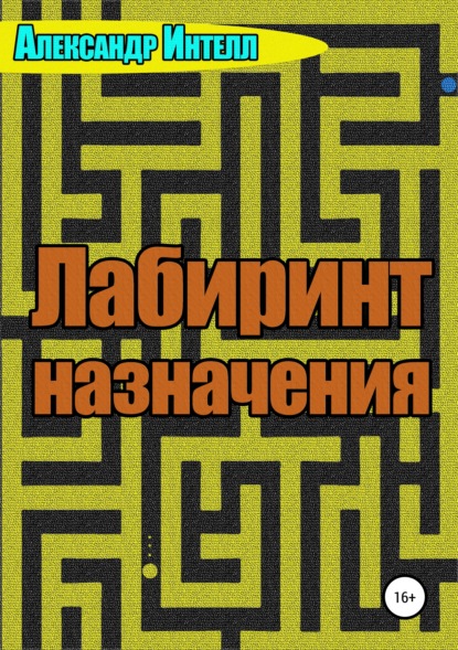 Лабиринт назначения — Александр Александрович Интелл