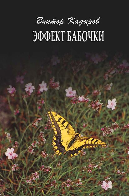 Эффект бабочки - В. В. Кадыров