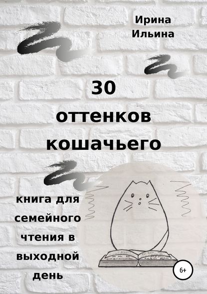 30 оттенков кошачьего. Книга для семейного чтения в выходной день — Ирина Ильина