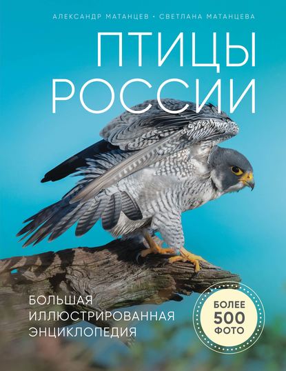 Птицы России. Большая иллюстрированная энциклопедия — Александр Матанцев