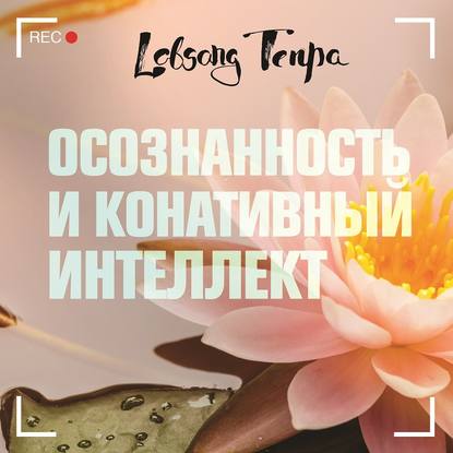 Осознанность и конативный интеллект — Лобсанг Тенпа