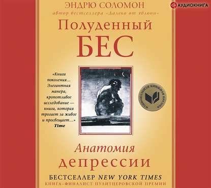 Полуденный бес. Анатомия депрессии — Эндрю Соломон