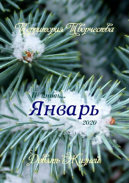 Январь. Девять Жизней — Валентина Спирина