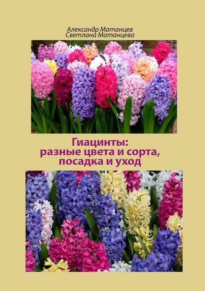 Гиацинты: разные цвета и сорта, посадка и уход - Александр Матанцев