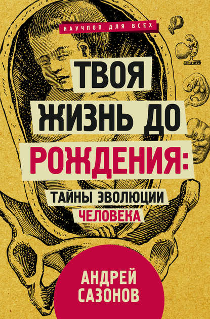 Твоя жизнь до рождения: тайны эволюции человека - Андрей Сазонов