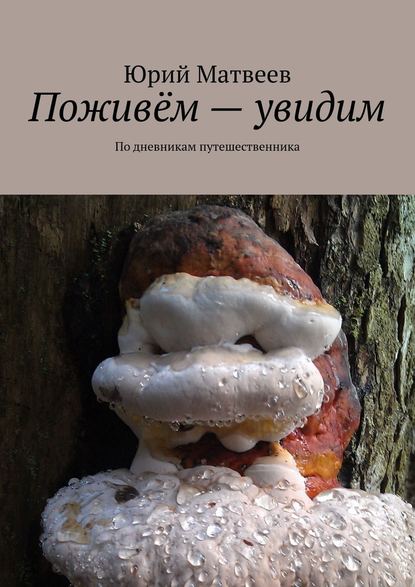 Поживём – увидим. По дневникам путешественника — Юрий Матвеев